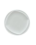 Aladdin 9" China Plate, Presentation Design, White